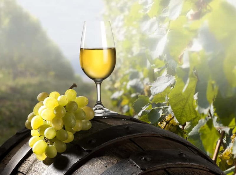 Maribor & Styria Tour with Wine Tasting - Price and value: what $123 really covers