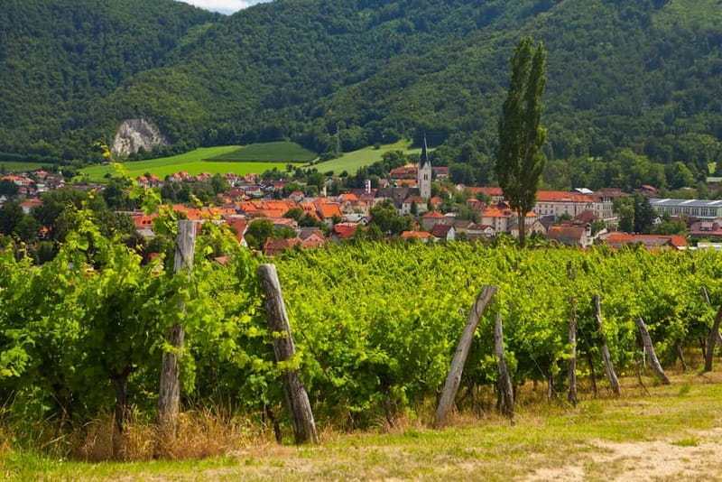 Maribor & Styria Tour with Wine Tasting - Starting in Slovenske Konjice: a quick town vibe reset