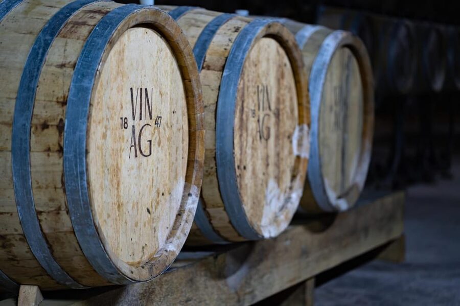 Maribor: Vinag Wine Cellar Tour with Wine tasting and snacks - The Guided Tour: What You Learn in the 45 Minutes Underground