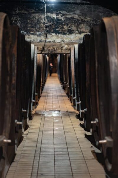 Vinag Wine Cellar Tour with Wine tasting and snacks
