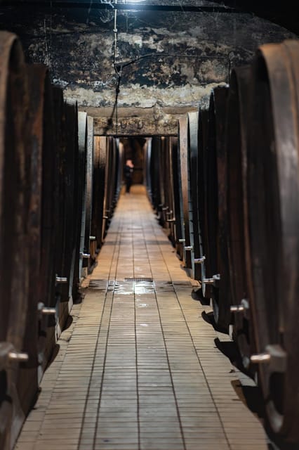 Maribor: Vinag Wine Cellar Tour with Wine tasting and snacks - From Trg svobode 3 to 23 Steps Down: How the Tour Starts
