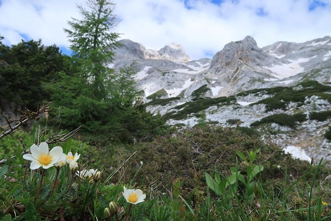 Mighty Mount Triglav Climb-summer Special-join Group - Who this Triglav climb suits best