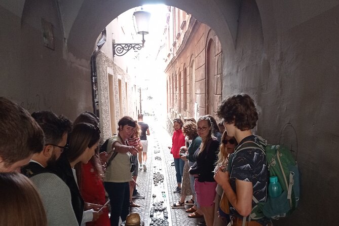 Old Town and Castle Group Tour in Ljubljana - Why this 2-hour Old Town plus castle plan is such good value