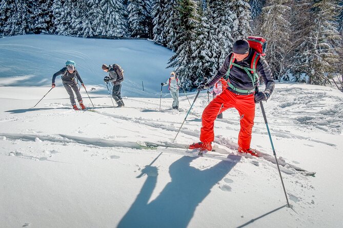 One Day Ski Touring Workshop - Where you train: Karawanks, Jesenice, and Pokljuka terrain choices