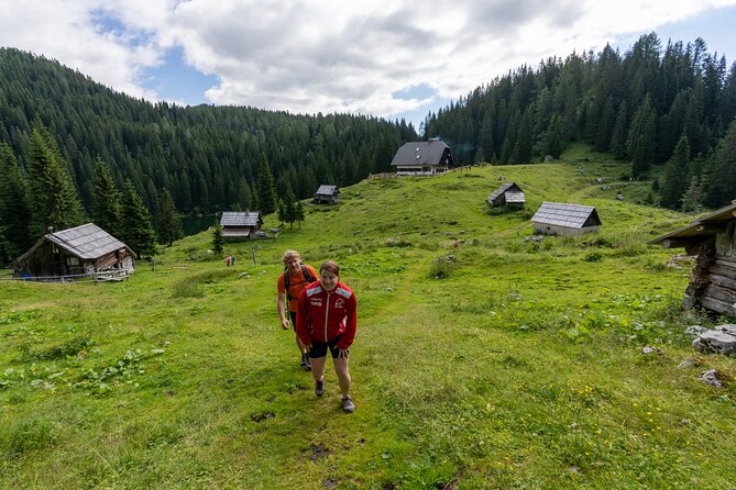 Panoramic hike in Julian Alps - Price and time: does $190.63 feel fair for this kind of day?