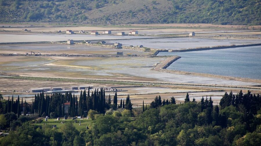 Panoramic Piran and Salt Pans: E-Bike Boutique Tour - Price, value, and what you get for your $199