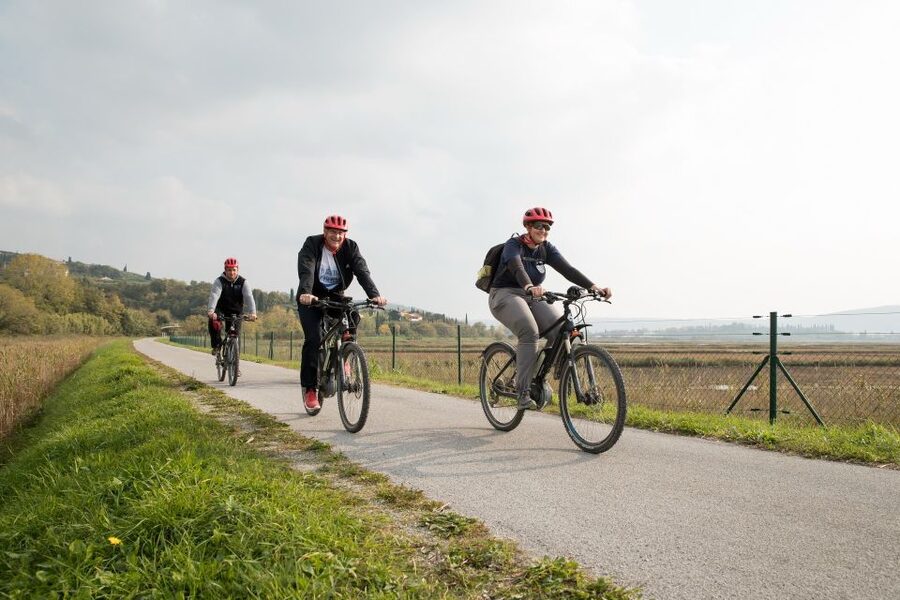 Panoramic Piran and Salt Pans: E-Bike Boutique Tour - Wine and Kraški pršut: where the ride becomes a meal