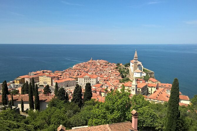Piran and Portoroz Pearls of the Slovenian Adriatic Coast Half Day Trip from Ljubljana - Small Van Energy, Pickup Reality, and How to Make the Day Smooth