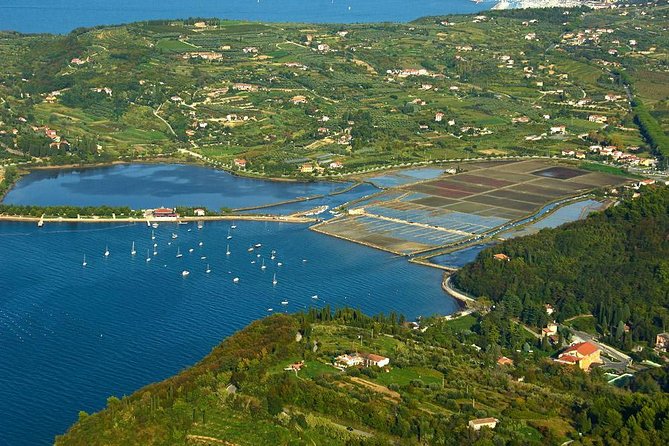 Piran and Scenic Slovenian Coast-Private Experience from Koper - Strunjan Nature Park and salt fields: quick sea-air payoff