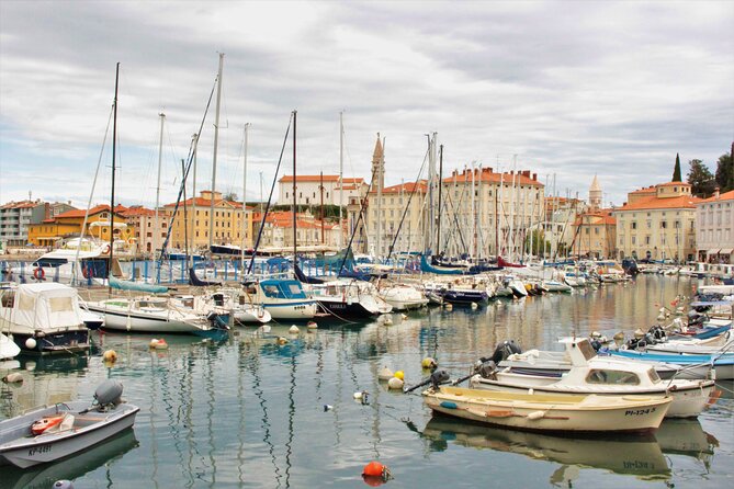 Piran & Panoramic Slovenian Coast - Small Group Tour from Koper - Tartini Square and the St. George viewpoint zone
