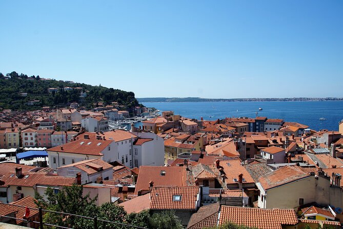 Piran & Panoramic Slovenian Coast - Small Group Tour from Koper - Food and wine tasting: the best included “value add”