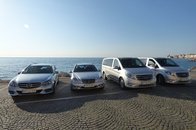 Piran & Panoramic Slovenian Coast Tour (up to 8 persons) - Olive tree plantation and nearby vineyards: a slower, tasty angle