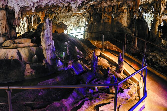 Postojna Cave and Predjama Castle - Entrance Tickets Included - Key highlights you should care about