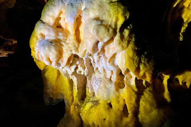 Postojna Cave Day Trip From Ljubljana - Pickup, timing, and how you land at the ticket counter
