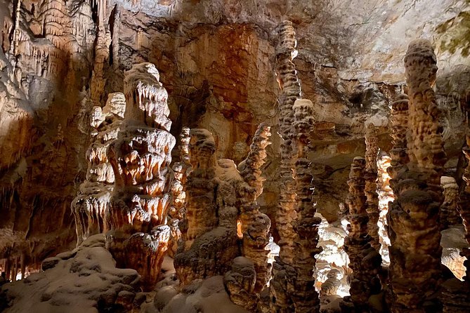 Postojna Cave Day Trip From Ljubljana - Driver service and Slovenia info: the human touch
