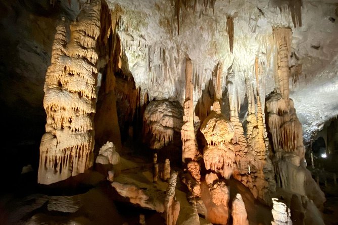 Postojna Cave Day Trip From Ljubljana - Price and logistics: what you pay for, and what you pay extra