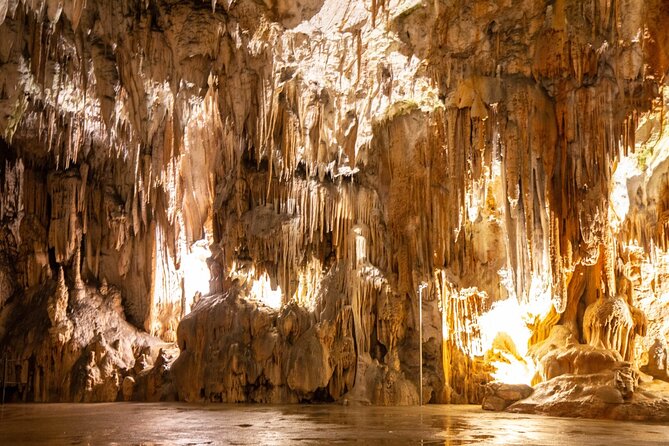 Postojna Cave, Predjama Castle and Piran with tickets included - Practical tips for getting more out of the day