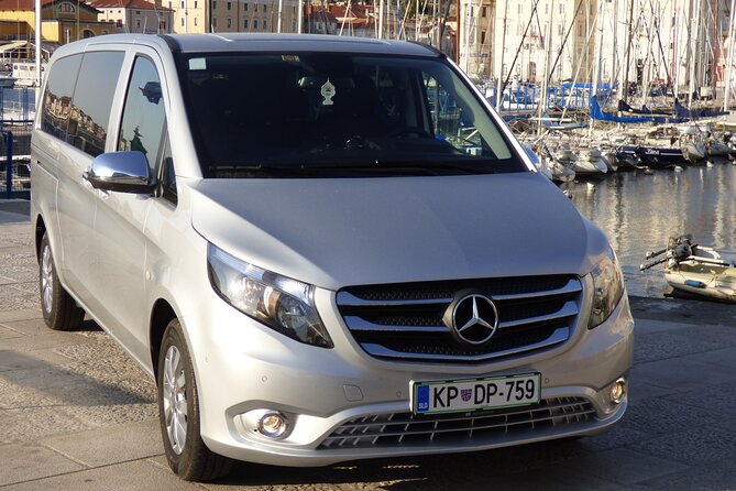 Postojna Cave & Predjama Castle Tour (up to 8 persons) - Koper Port to Postojna Cave, delivered by Mercedes comfort