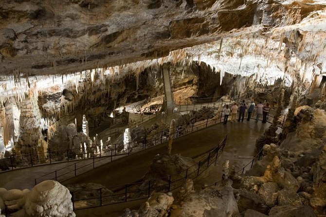 Postojna Cave with Train Ride and Predjama Castle Half Day Trip from Ljubljana - Postojna Cave: the train entry and the guided walk