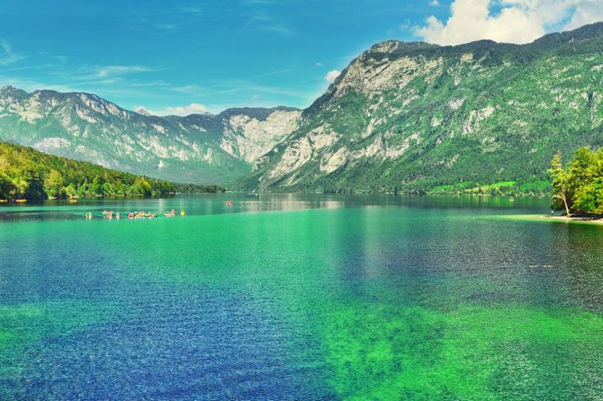 Private Bohinj & Vogel Tour from Bled - Who This Private Bohinj and Vogel Tour Is For