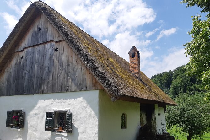 Private Tour in Kamnik - Mammoth - Farmhouse and Organic Farm - Pastures, herbs, and Kamnik-Savinja Alps views near the forest edge