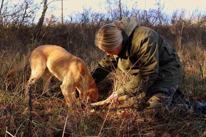 Private Truffle Hunting in Slovenia with meal - Zdenko Tartufi - Key moments you’ll care about