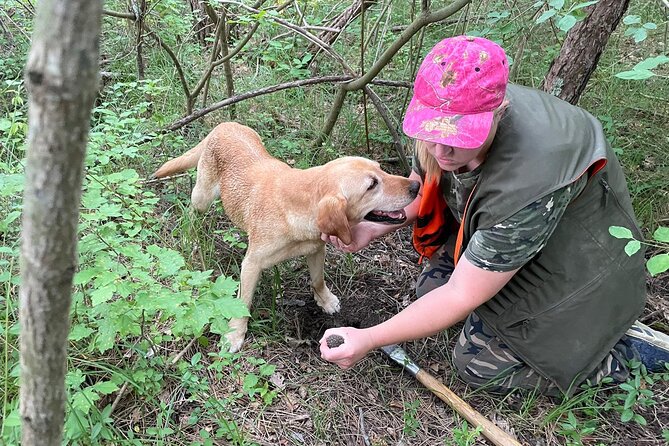 Private Truffle Hunting in Slovenia with meal - Zdenko Tartufi - Price and value: what $177.20 really buys you