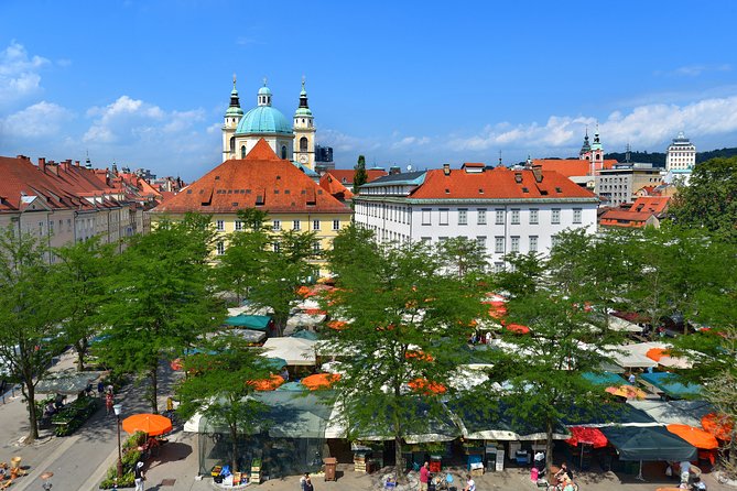 Private Walking Tour of Ljubljana Old Town - When to go: timing, crowds, and rainy-day reality