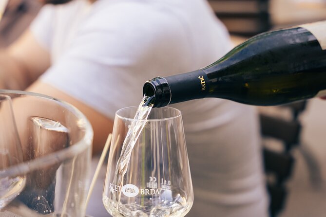 Private Wine Tasting Experience in Ljubljana - Key Highlights at a Glance