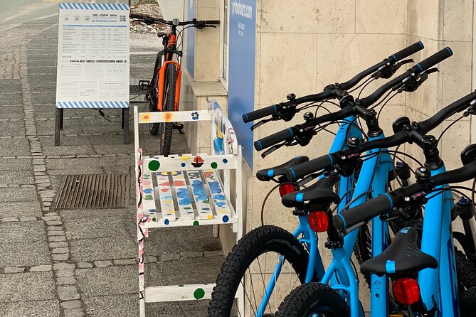 Rent a Mountain Bike in Bled - Where you can bike from here: lakeside vibes and hill options
