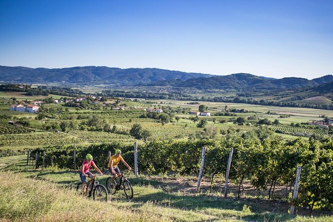 Secret vineyards E-bike tour - Key things you’ll remember about this tour