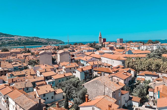 Sip & Step: A Flavorful Walk Through Koper's History - Where the walk begins at Koper’s cruise terminal