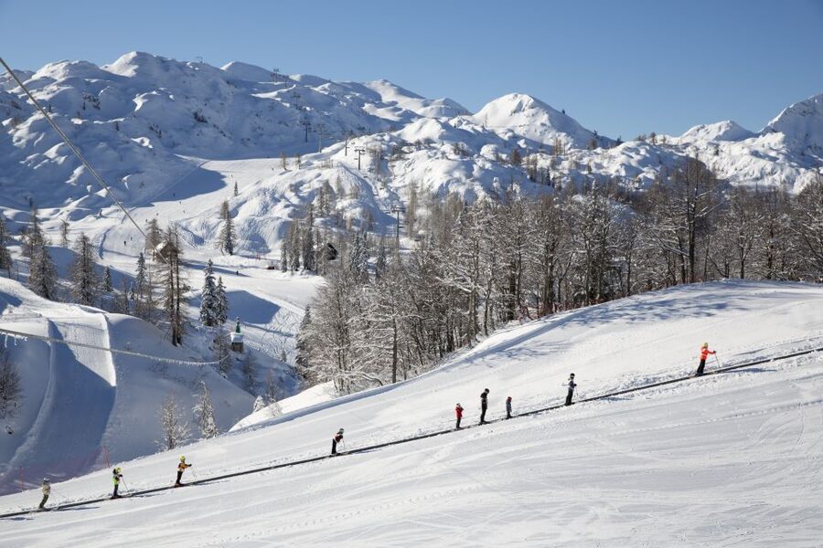 Skiing with Instructor: Vogel Ski Center from Bled - Who should book this lesson from Bled, and who should skip it