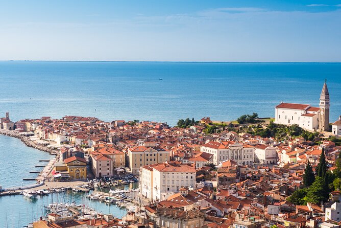 Škocjan Caves and the city of Piran from Ljubljana - Lipica Stud Farm and the White Lipizzan Factor