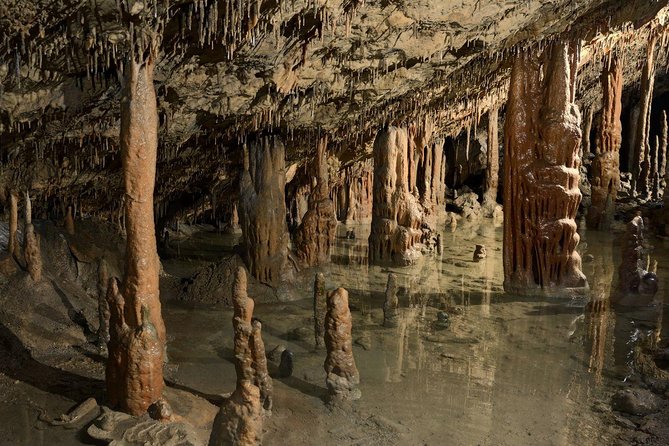 Skocjan UNESCO Caves and Piran full day tour (small group, max. 8) - Getting to the Caves and Piran, Without Fighting Transport