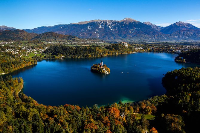 Slovenia in One Day: Lake Bled, Postojna Cave and Predjama Castle - Entering Postojna Cave by mini-train: cold, dark, and the human fish angle