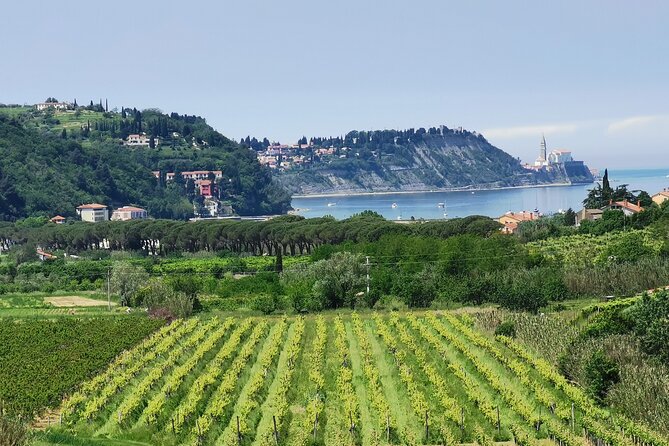 Slovenian coast Koper, Izola, Piran - Parenzana electric biking tour from Koper - The e-bike advantage: keeping the climbs fun