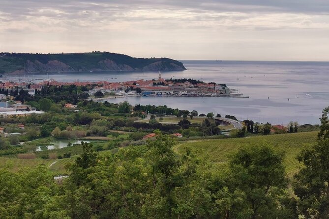 Slovenian coast Koper, Izola, Piran - Parenzana electric biking tour from Koper - Portorož viewpoints and wine tasting: mixing sport with leisure