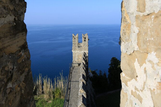 Slovenian coast Koper, Izola, Piran - Parenzana electric biking tour from Koper - The Parenzana track finale: tunnels, Mediterranean gardens, and return to port