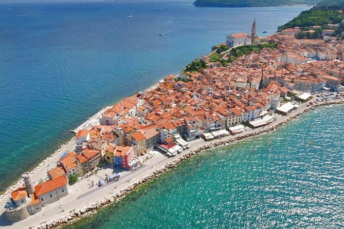 Slovenian Coast & Wine Private Tour with Tastings from Ljubljana - Izola winery tasting: where the day turns into wine