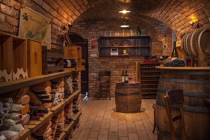 Slovenian wine tasting at Hotel Triglav Bled's wine cellar - Native grapes and Slovenian wine regions, explained in plain talk