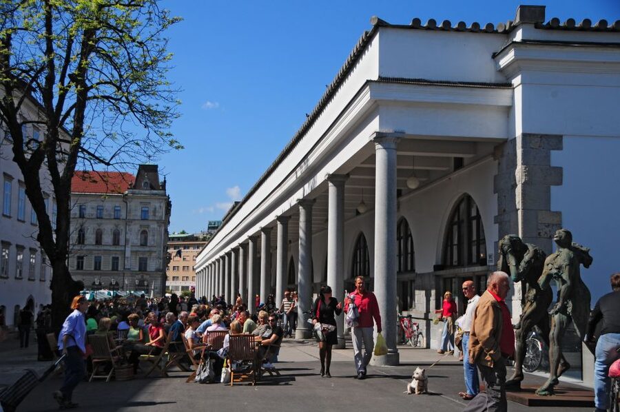 Small Group (Max 6): Ljubljana Hidden Gems Tour from Koper - The Scenic Ride Through Central Slovenia