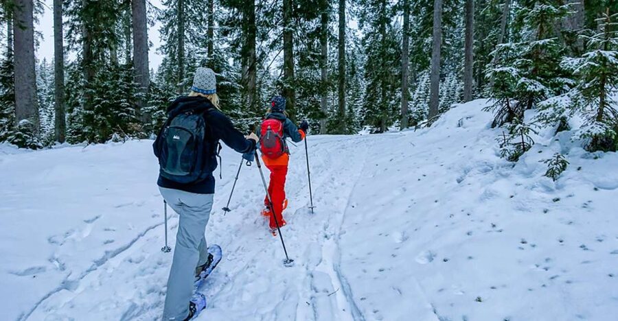 Snowshoeing in Triglav National Park - Triglav National Park in winter, from quiet roads to quiet snow