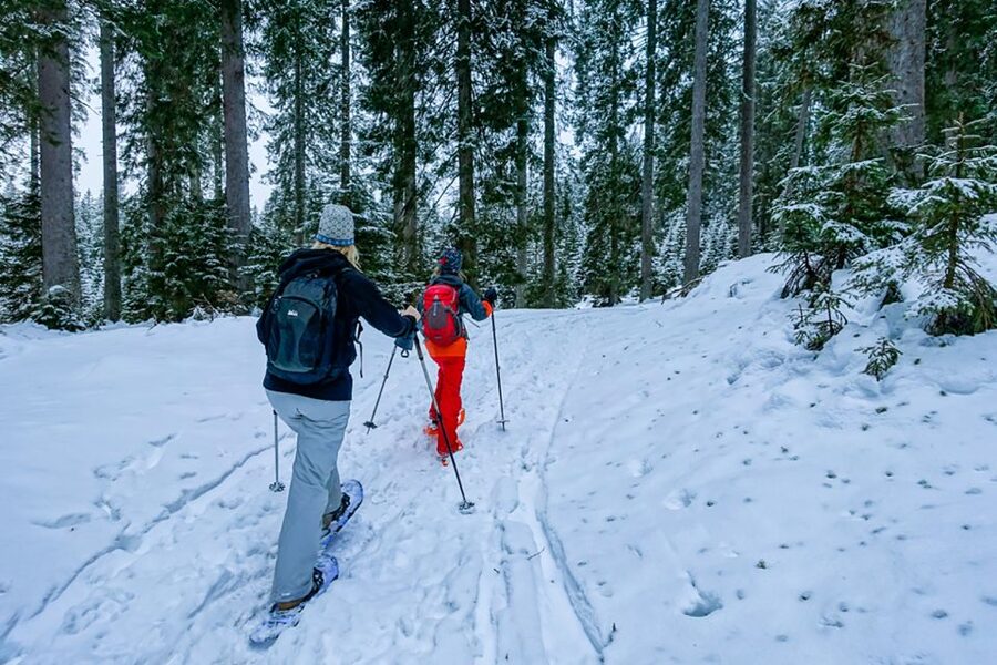 Snowshoeing in Triglav national park - Technique coaching with Aleksandra: what you learn and why it matters