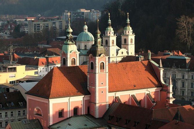 The Ljubljana's Cathedral Tour (St. Nicolas Church) - Key highlights to look for