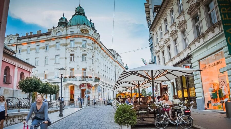 Trieste: Ljubljana Capital of Slovenia Tour - Plečnik Stops: Town Hall, Bridges, and the River Story