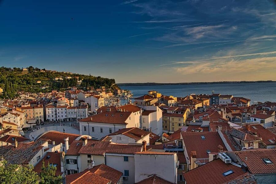 TRIESTE: Slovenian Coast Tour with Food and Wine Tasting - Why this Slovenian coast day trip works from Trieste