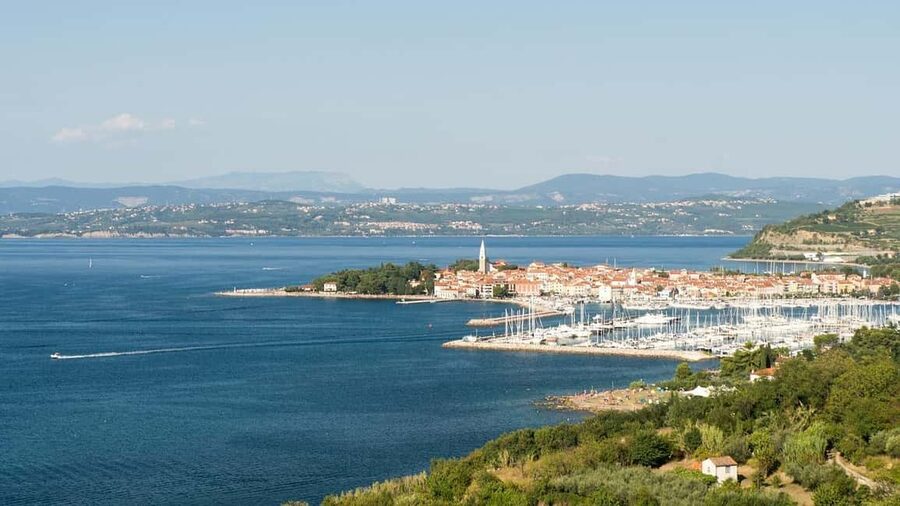 TRIESTE: Slovenian Coast Tour with Food and Wine Tasting - Meeting points in Trieste, so your start is painless