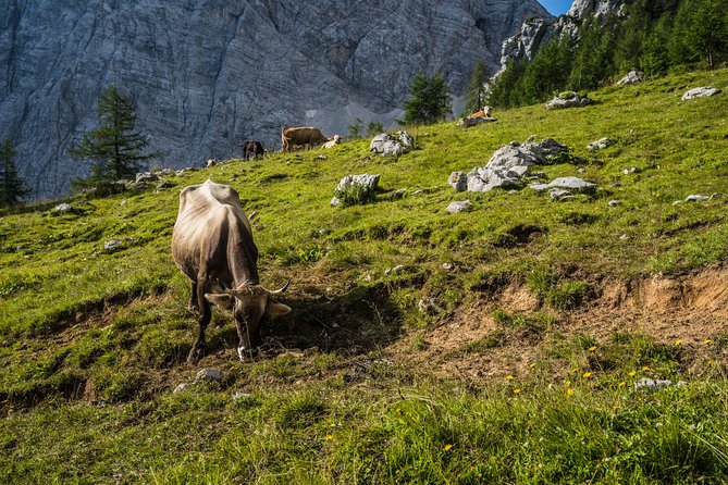 Triglav tour in 2 days Slovenia - Stop 3: Summit Triglav early, then down to Krma Valley (about 8 hours total)