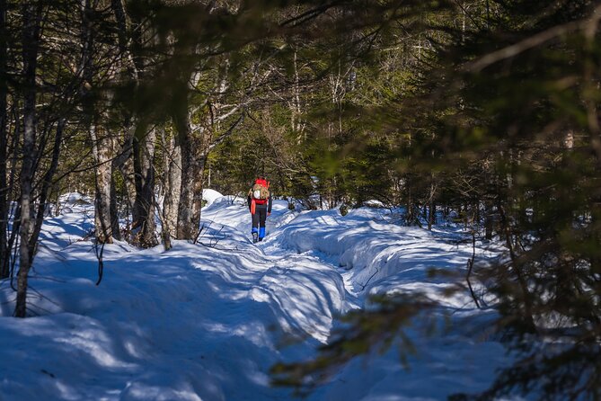 Triglav winter edition - Krma Valley Hike to Kredarica Hut: Snow Travel for Real Conditions